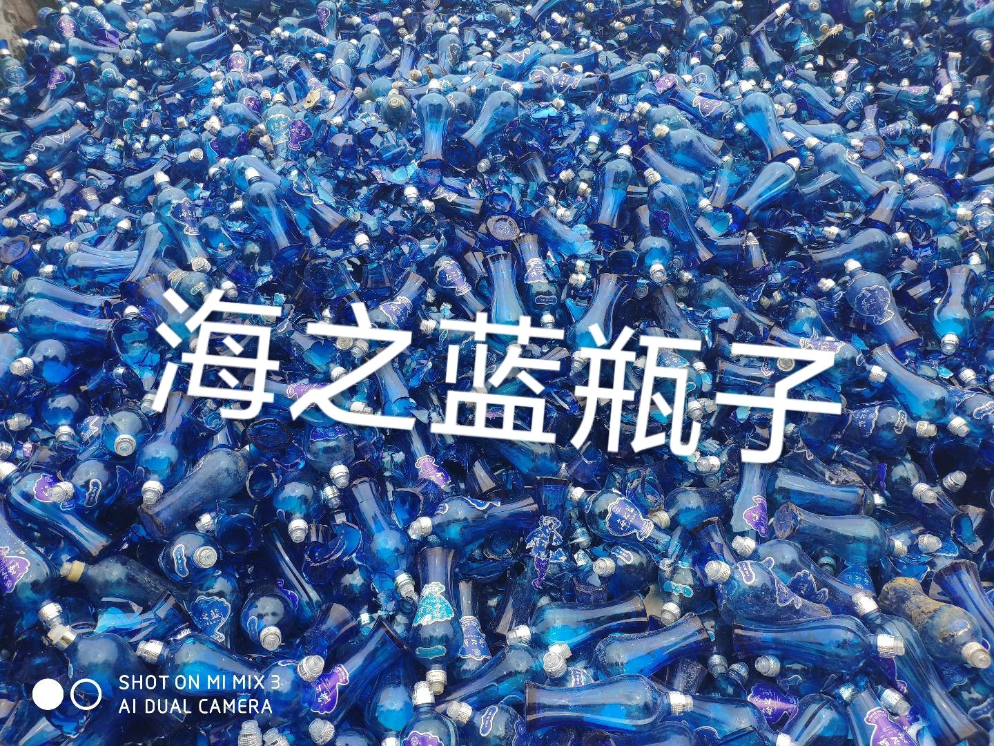 武进区海之蓝瓶回收