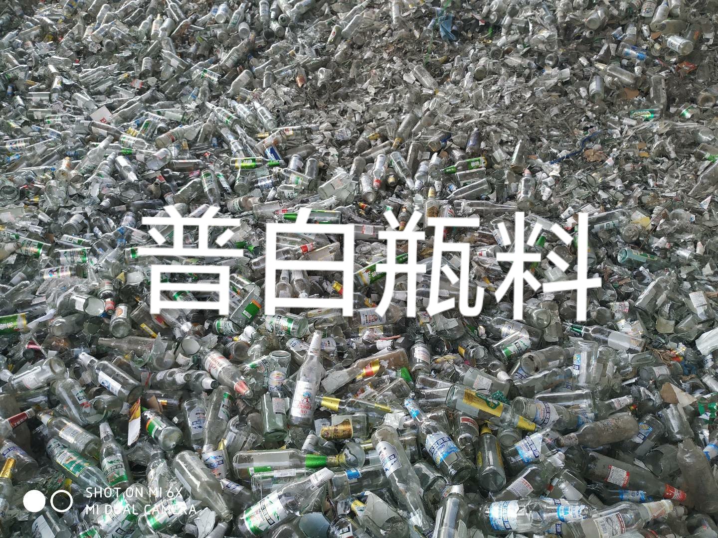武进区普白瓶料回收